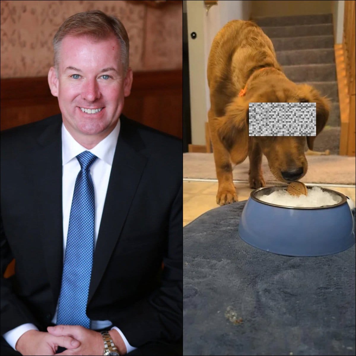 Houston Lawyer Faces B£stiality Charges Over Alleged Incident with Family Pet