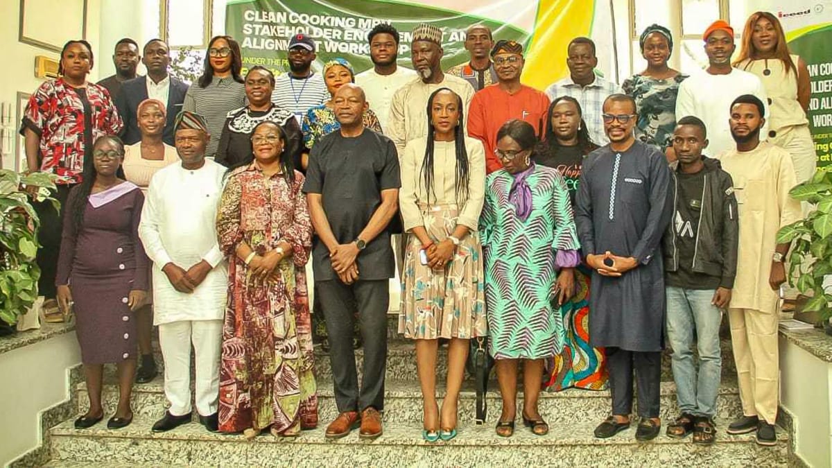 Nigeria Turns to Carbon Finance for Affordable Clean Cooking Solutions