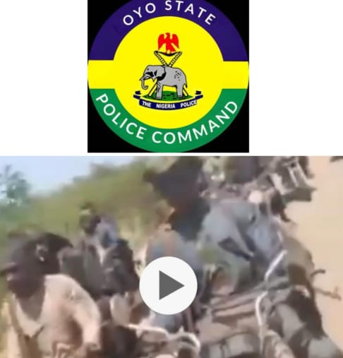 Oyo Police Dismiss Terrorist Invasion Claims as False Alarm