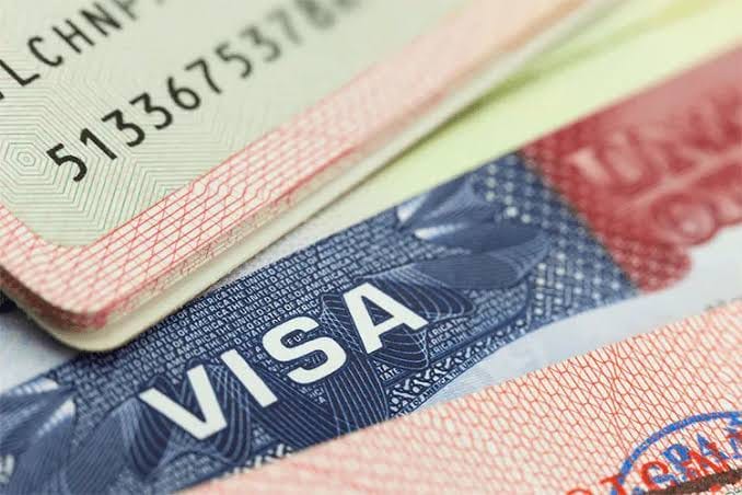 US Government Cracks Whip on Birth Tourism, Revokes Over 600 Visas