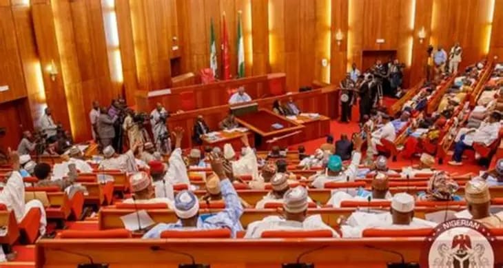 Nigeria Moves Closer to State Police with Senate Bill