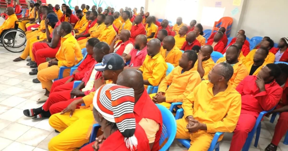 Nigerian inmates in Ethiopia celebrate prisoner transfer deal, thank Tinubu