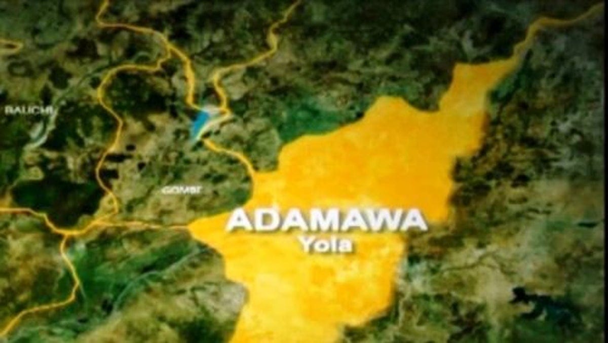 Adamawa LG Polls Marred by Voter Apathy as Fintiri Absent