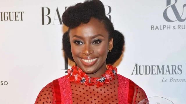 Chimamanda Adichie Alleges Euracare Hospital's Involvement in Son's Death Cover-Up