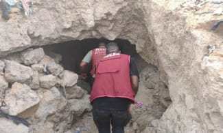 Nigeria’s Anti-Narcotics Agency Uncovers Underground Drug Network Hidden In Kano Caves, Tunnels, Arrests 19