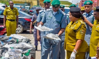 Naija Customs Foils N16.6 Billion Cannabis Import from Canada at Lagos Port