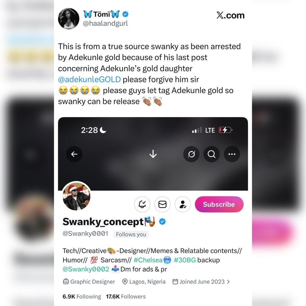 The X user, Swanky_concept, who was found guilty of spreading malicious misinformation.