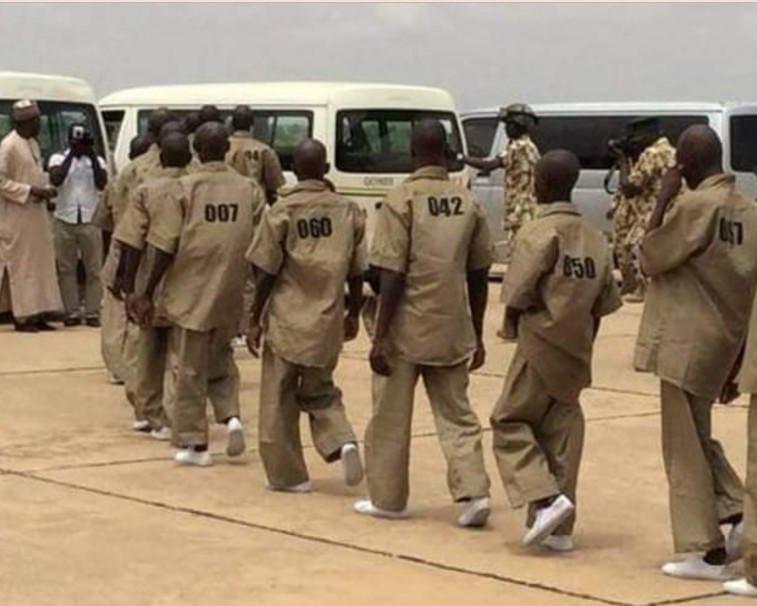 Senate Urges FG to Discontinue Flawed Boko Haram Rehabilitation
