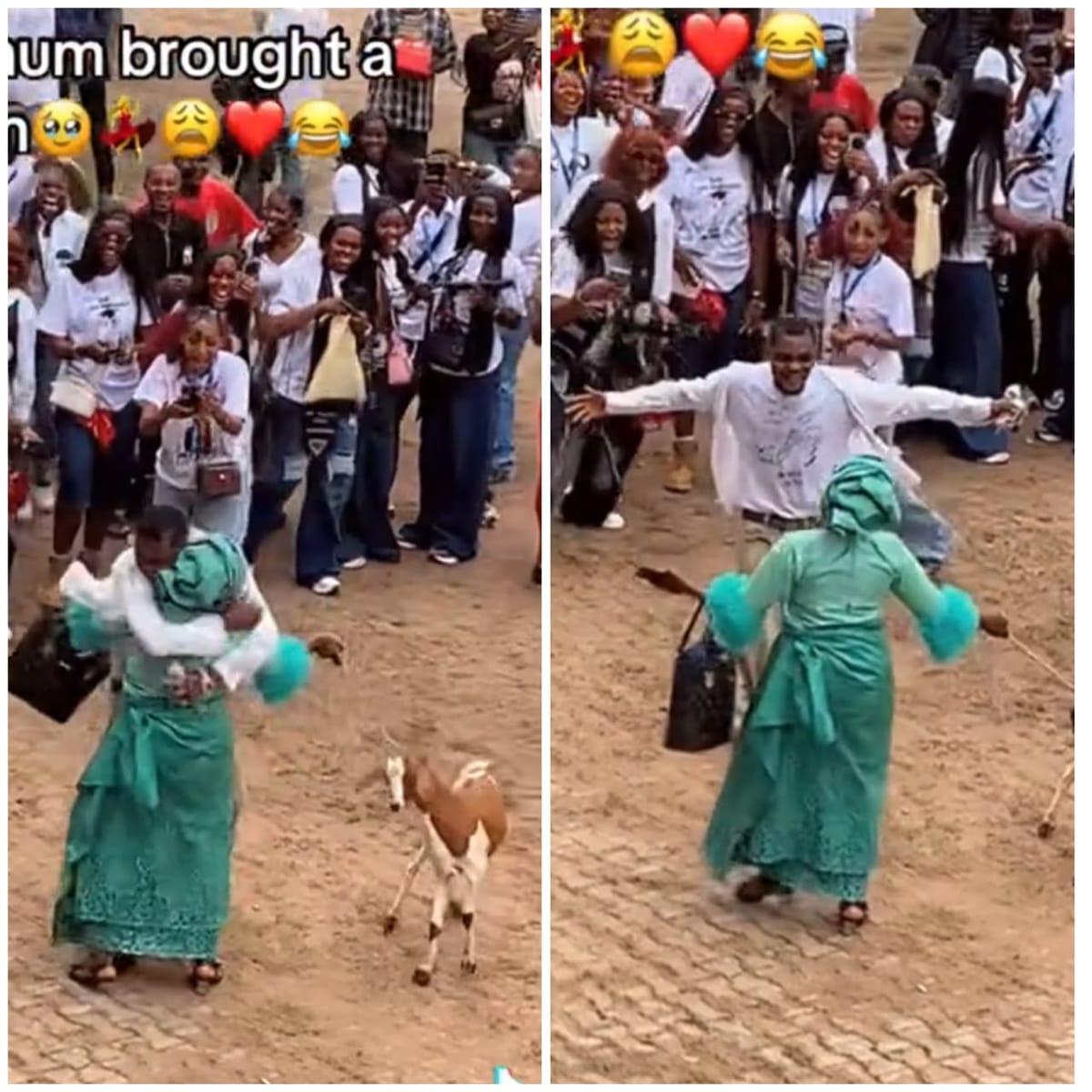 Proud Nigerian Mother Celebrates Son's Graduation with Unique Live Goat Gift