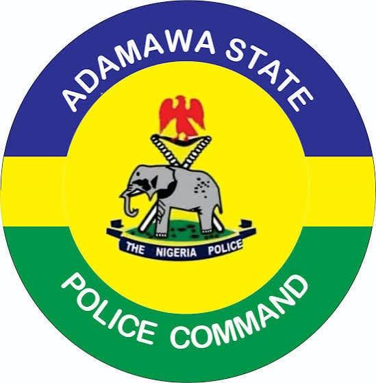 Octogenarian Charged Over Judge's Attack in Adamawa Court
