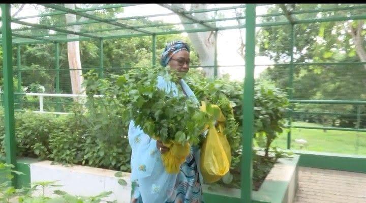 Remi Tinubu Displays Aso Villa Garden Harvest Amidst Economic Advice Debate