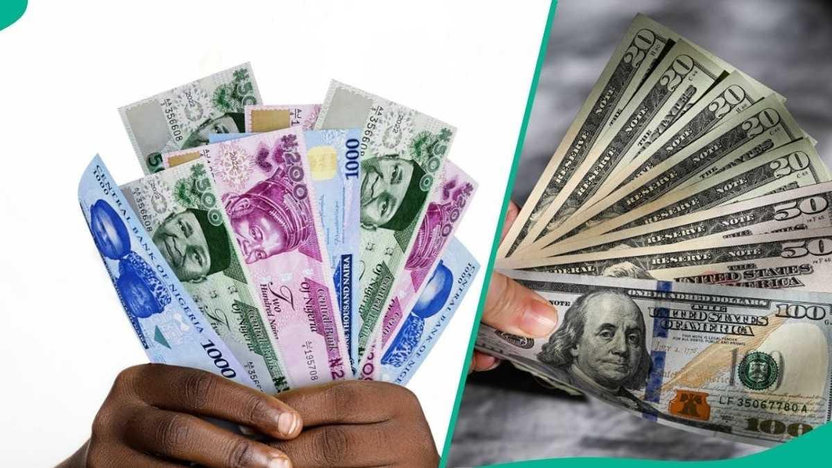 The Nigerian Naira currency notes, symbolizing its recent appreciation against major foreign currencies.