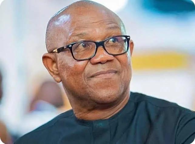 Former Anambra State Governor and Labour Party presidential candidate, Peter Obi.