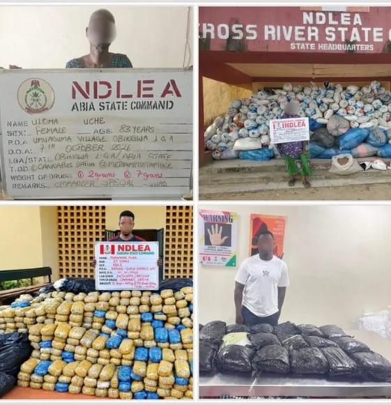Drug Bust: 83-Year-Old Abia Woman Rearrested by NDLEA