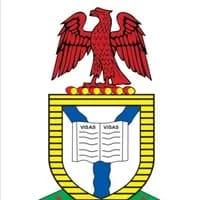Nigerians in UK to Get Passport Boost as NIS Deploys Special Team
