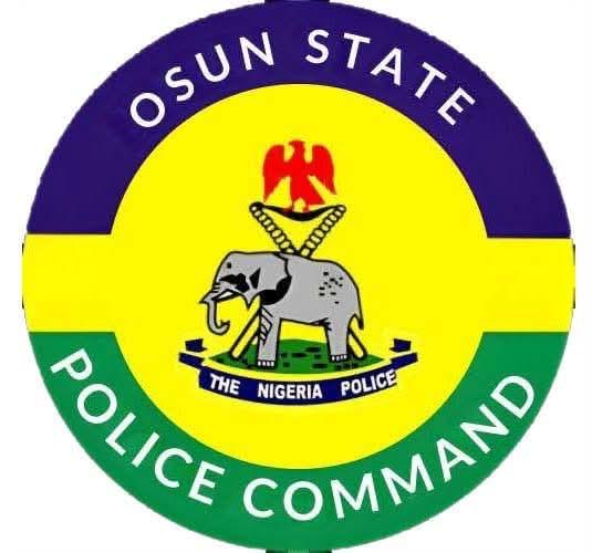 Osun Police Nab 45-Year-Old for Friend's Granddaughter Assault