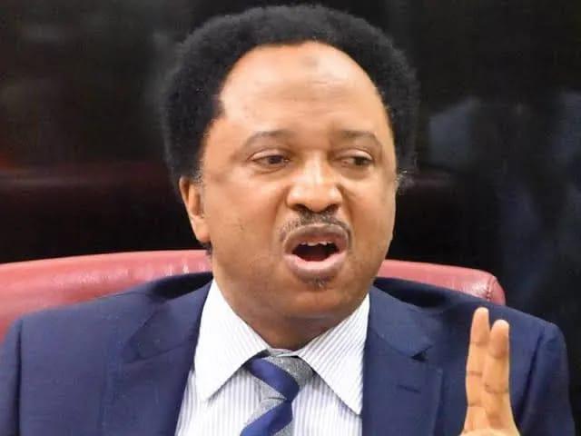 African Woman Fires Back at Senator Shehu Sani's Sahel Counsel