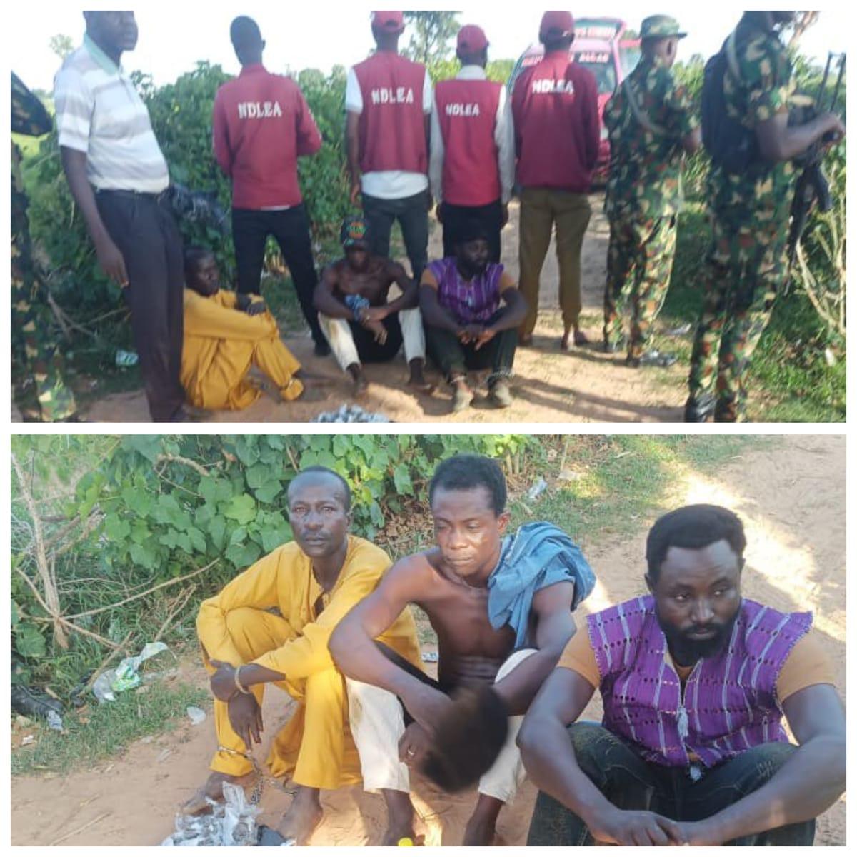 Katsina Joint Operation Nabs Three Suspected Terrorist Drug Peddlers