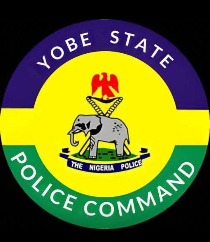 Yobe: Man Detained Over Alleged Defilement of 8-Year-Old Sister
