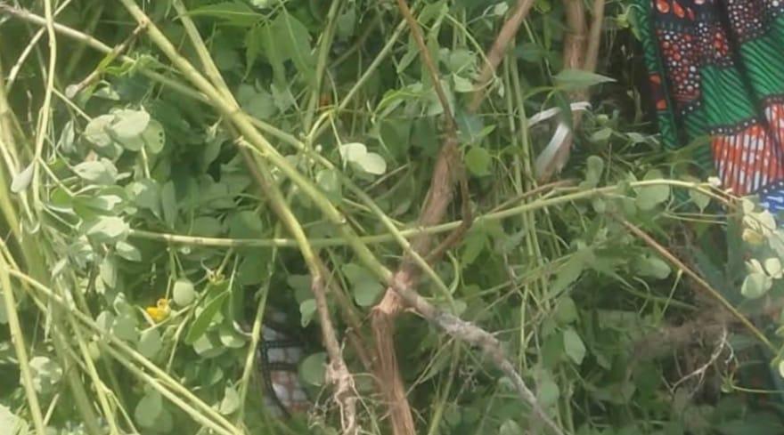 Jigawa Boat Tragedy Claims Four Young Lives, NSCDC Confirms