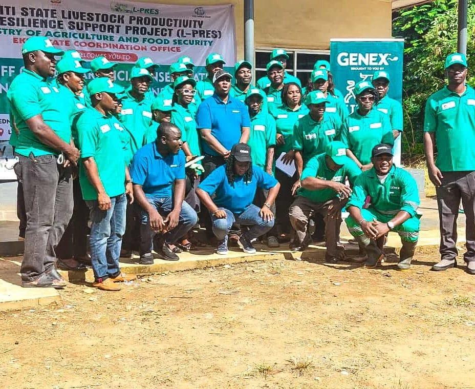 A group of 30 professionals from Animal Husbandry and Veterinary Departments undergoing training as Artificial Insemination Technicians in Ekiti State.