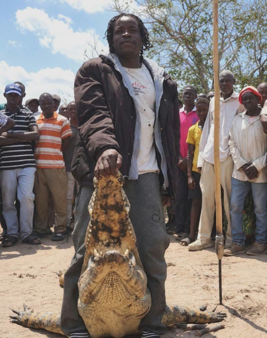 The large crocodile believed to be responsible for the deaths of two young women.