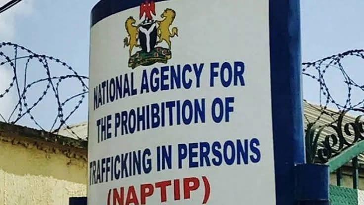 NAPTIP Records 20 Convictions for SGBV, Saves Over 3,000 Victims