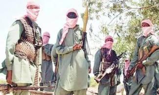 Wanted Kingpin Kachalla Maha Claims Nigerian Military Operatives Are His 'Boys'