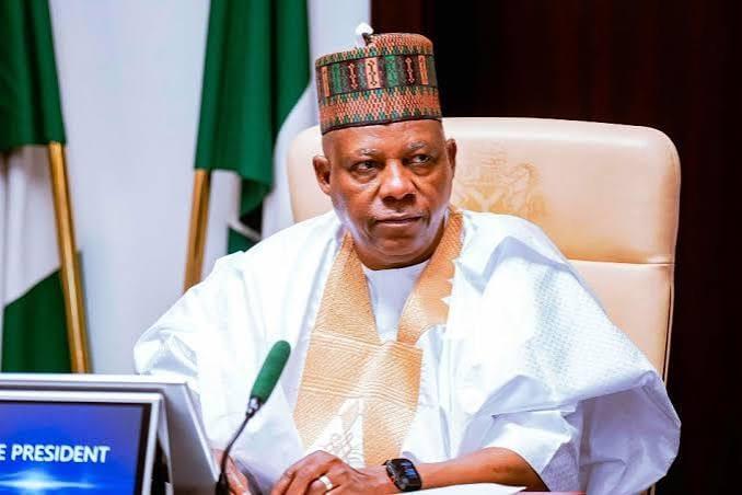 VP Shettima Warns: Nigeria Won't Tolerate Citizen Dehumanization Abroad