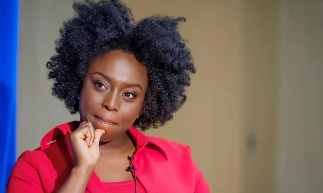 Adichie Son's Death Probe: Lagos Court Rejects Hospital's Effort to Halt