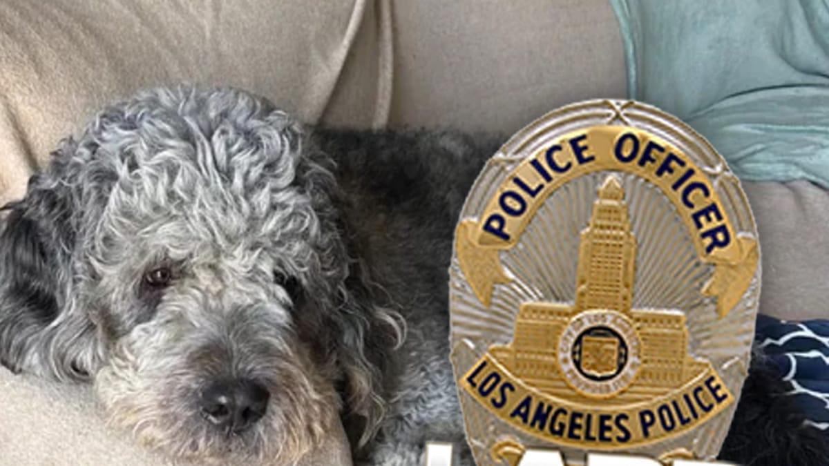 Los Angeles City Sued Over LAPD Officer's Fatal Dog Shooting During Knicks Win