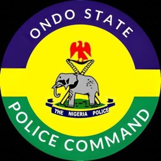 Ondo Farm Tragedy: Three Siblings' Bodies Recovered After Search