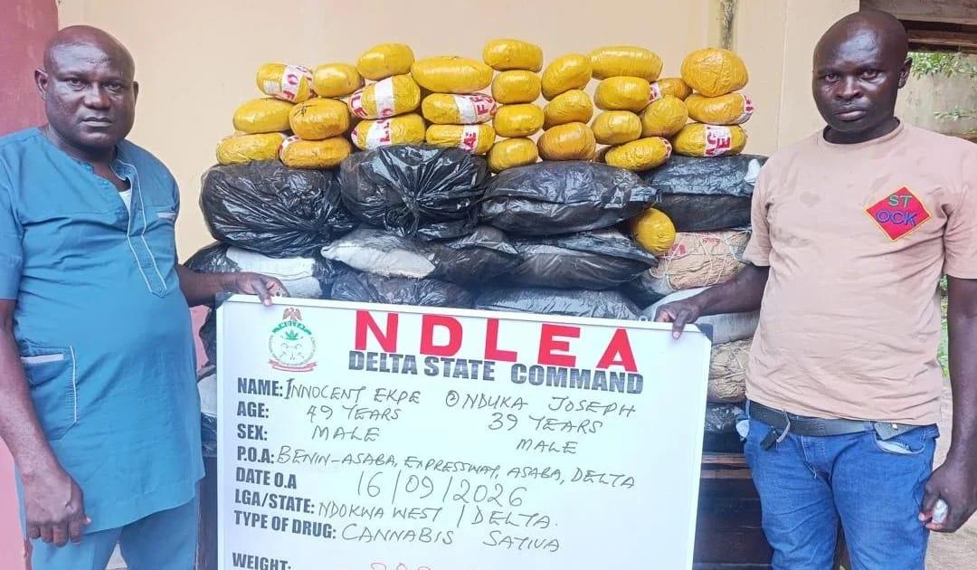 NDLEA Seizes N3.4bn Drugs, Nabs Fake Cop and Accomplices Across States