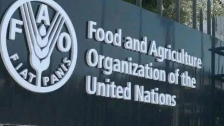 FAO Delivers Crucial Farm Inputs to 210,000 Conflict-Affected Farmers in North-East
