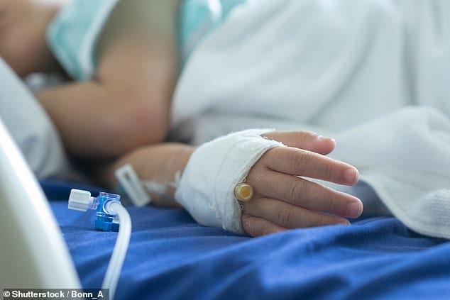 Netherlands Records First Euthanasia of Two-Year-Old Following Law Change
