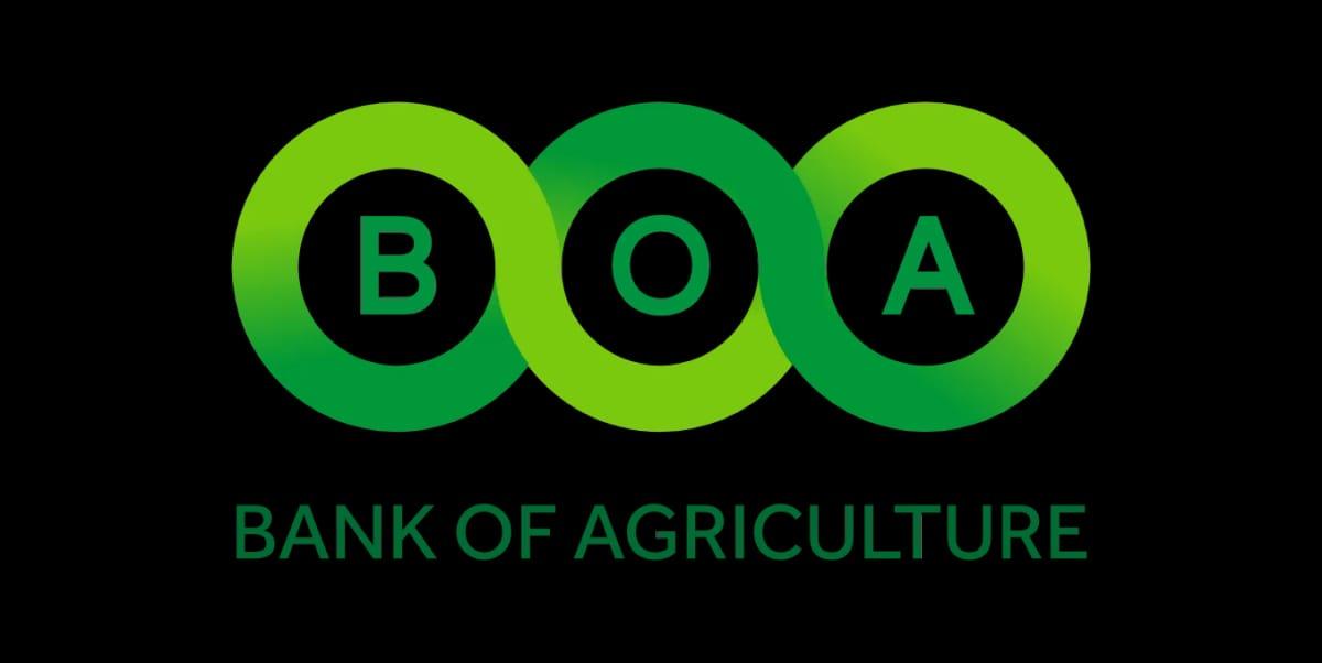 Nigerian farmers utilizing modern irrigation equipment, symbolizing the support provided by the BOA-AFAN partnership.