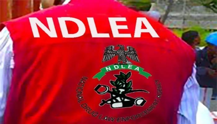 The official logo of the National Drug Law Enforcement Agency (NDLEA).