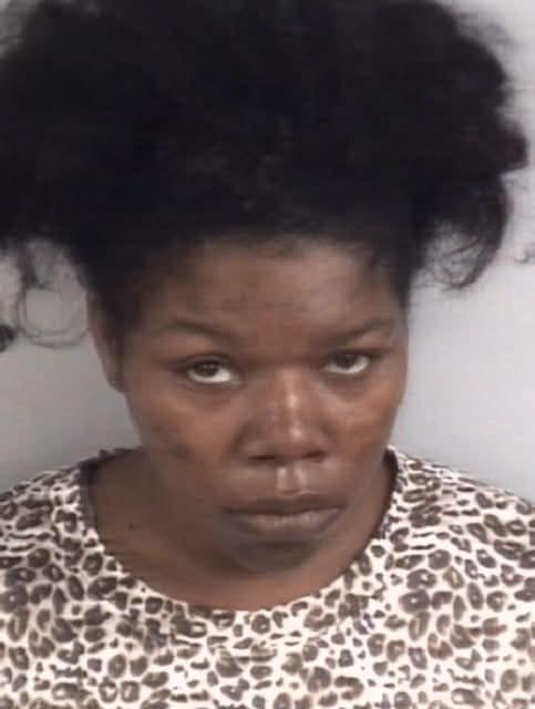 Woman charged after she fled traffic stop and crashed, k!lling her three young children