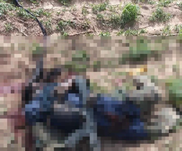 Joint Task Force Foils Kebbi Attack, Eliminates Two Suspected Terrorists