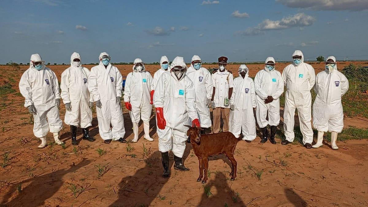Residents gather during a community sensitisation campaign on rabies prevention in Malam Matari, Yobe.