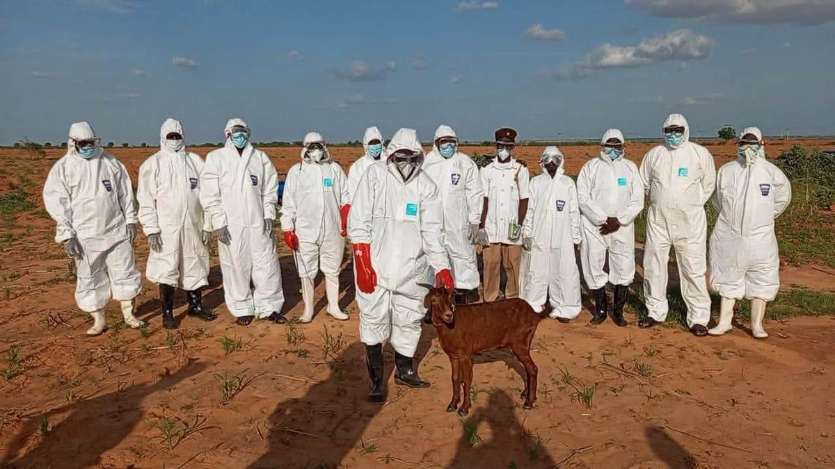 A view of the Malam Matari community, where a rabid dog attack led to five hospitalisations.