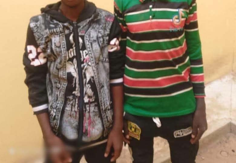 Two Alleged Kidnappers Apprehended in Yobe; 26 Goats Recovered