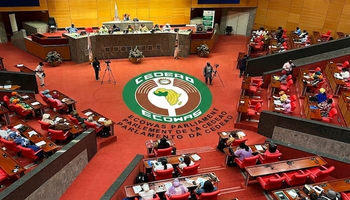 ECOWAS Parliament Demands Job Creation to Combat Irregular Migration