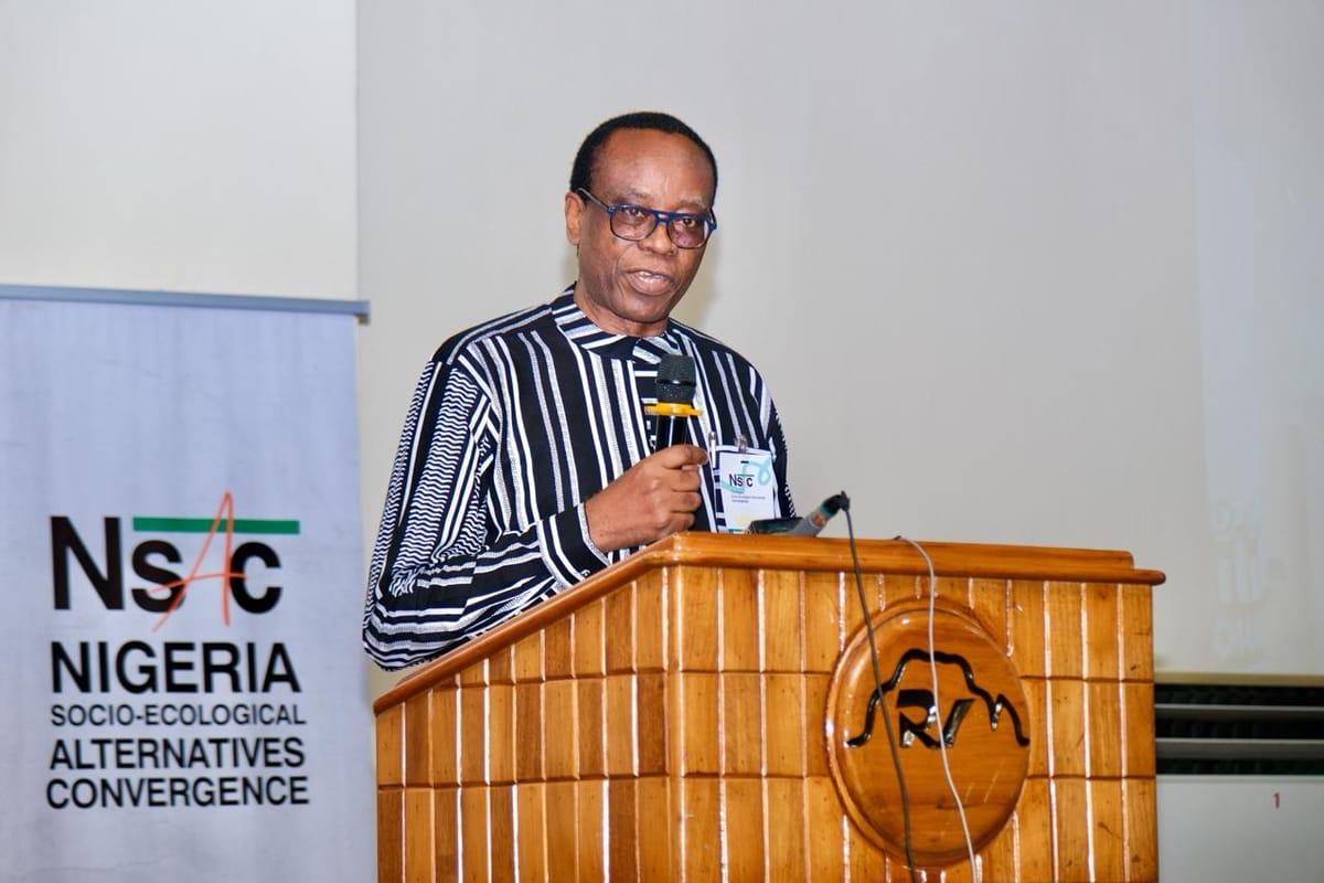 New Mineral Discoveries Could Bring 'Oil Curse' Repeat, Experts Caution Nigeria