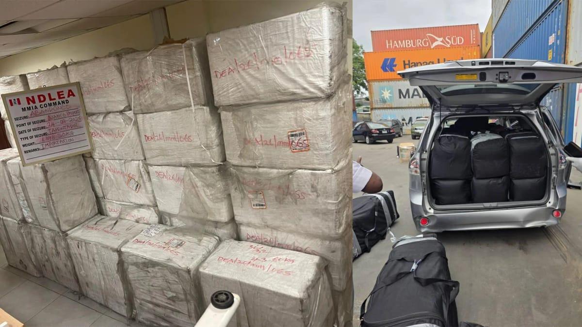 Lagos Trader Nabbed by NDLEA Over Cocaine Export to UK