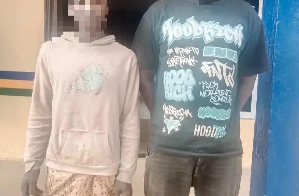 Ogun Police Nab Two Cattle Thieves, Foil Abduction Attempt in Separate Operations