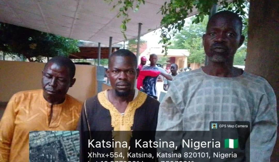 Katsina State Sees Success as Troops Liberate Abductee, Recover Stolen Livestock