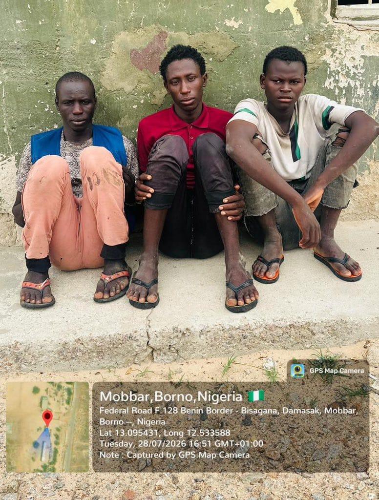 Three suspected ISWAP fighters surrender to troops in Borno after fleeing sustained bombardment