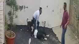 The couple, Ankit Sabharwal and his wife Shifali, after the attack