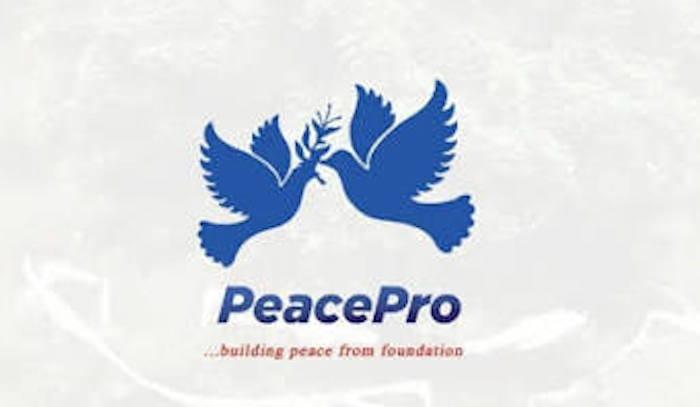PeacePro Demands Deep Investigation into Foreign Influence Networks in Nigeria